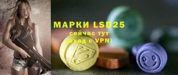 ГАЛЛЮЦИНОГЕННЫЕ ГРИБЫ Михайловка