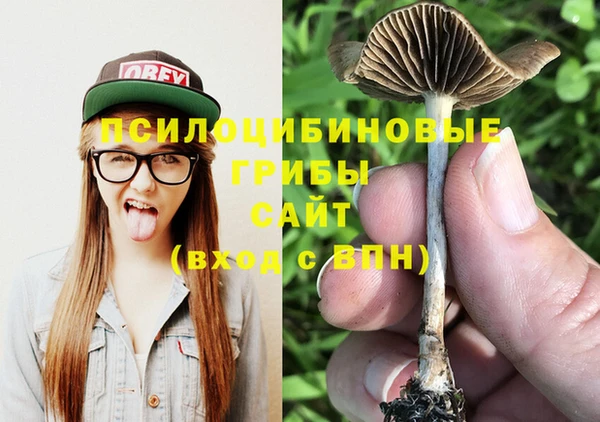 2c-b Михайловск