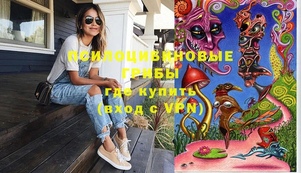 ГАЛЛЮЦИНОГЕННЫЕ ГРИБЫ Михайловка