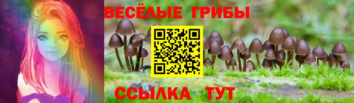 Псилоцибиновые грибы прущие грибы Тобольск