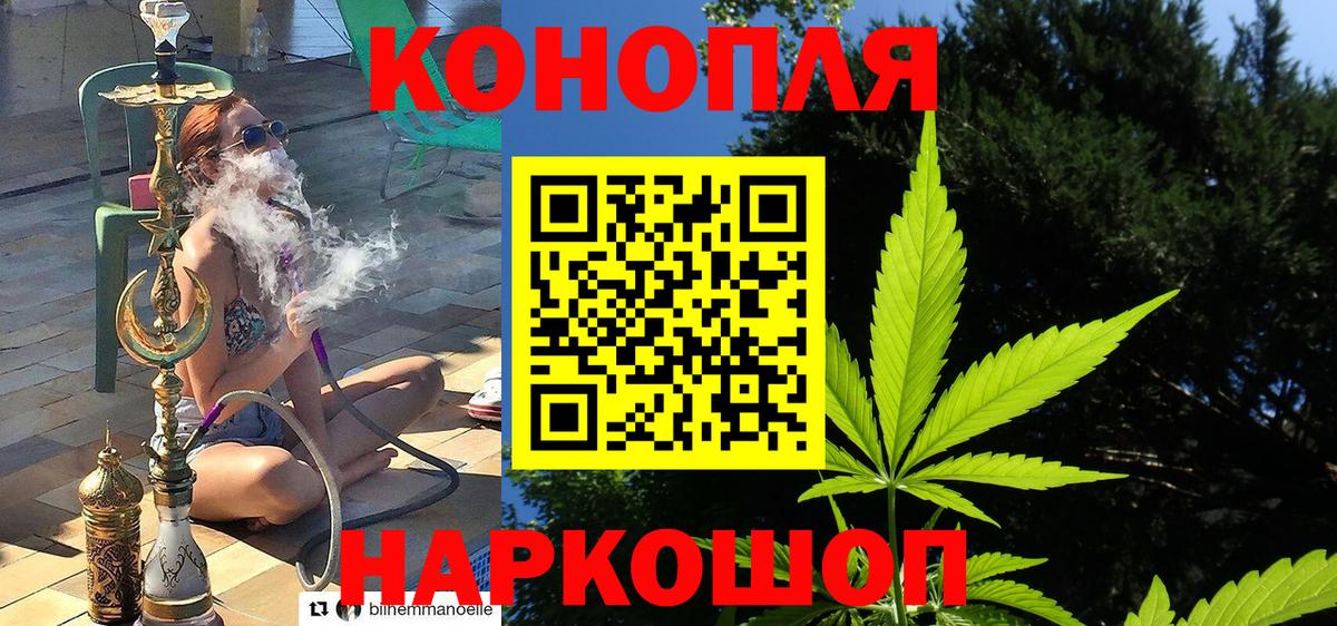 Канабис планчик Тобольск